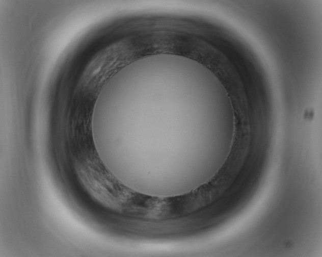 X0000115440143200911181532
