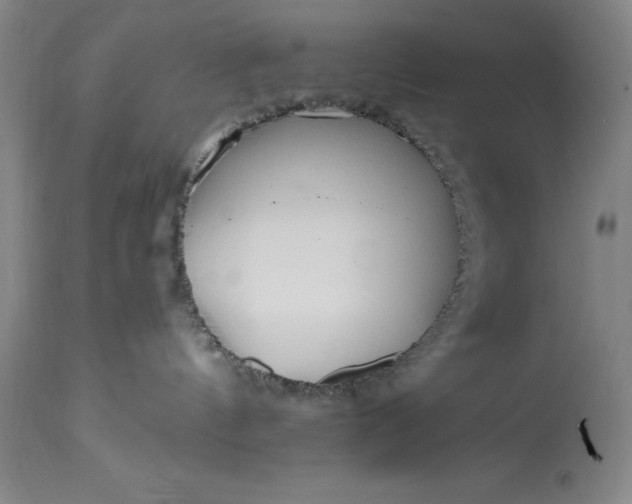 X0000115440144200911181532