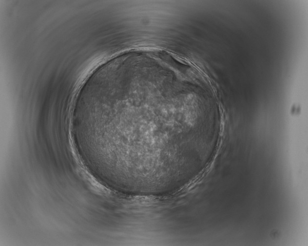 X0000115440145200911181531