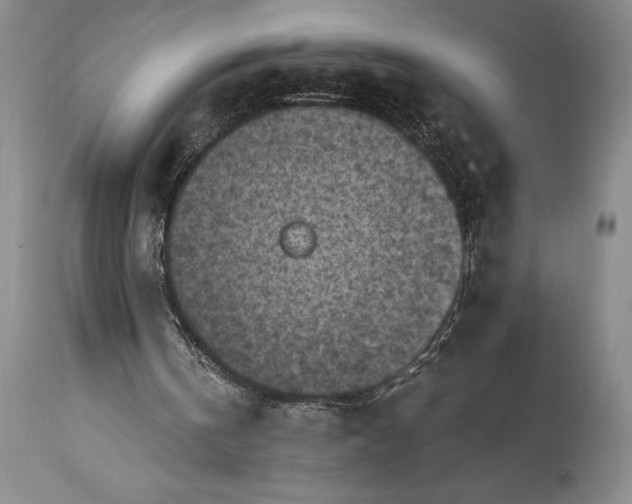 X0000115440146200911181531