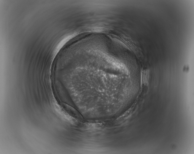X0000115440147200911181531