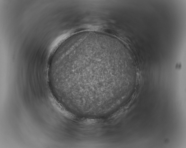 X0000115440149200911181531