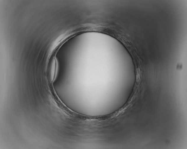 X0000115440150200911181531