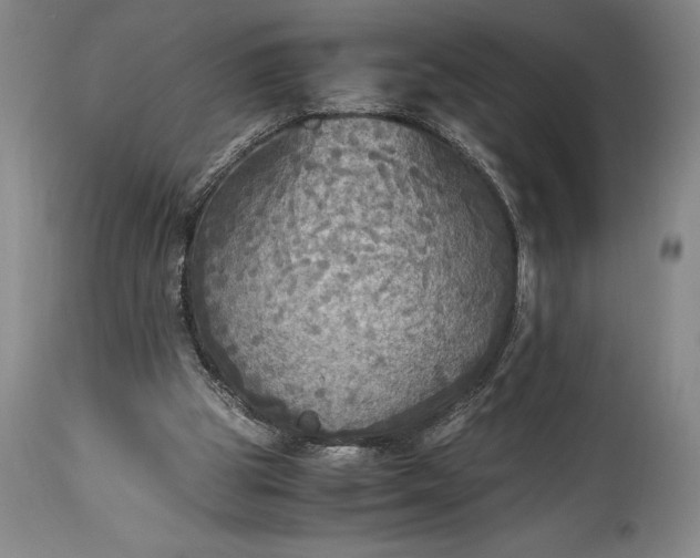 X0000115440153200911181531
