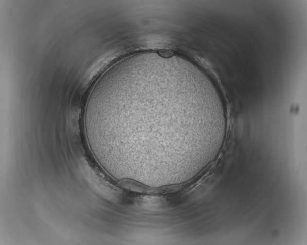 X0000115440154200911181531