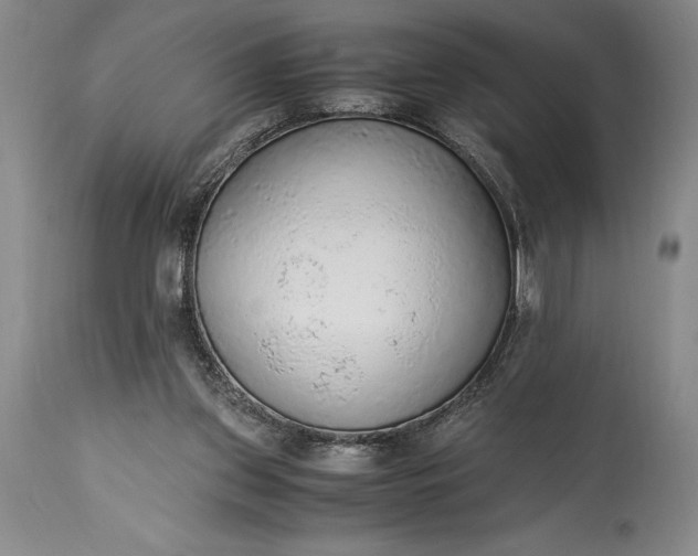 X0000115440157200911181531
