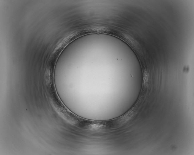 X0000115440158200911181531