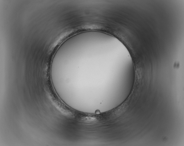 X0000115440159200911181531