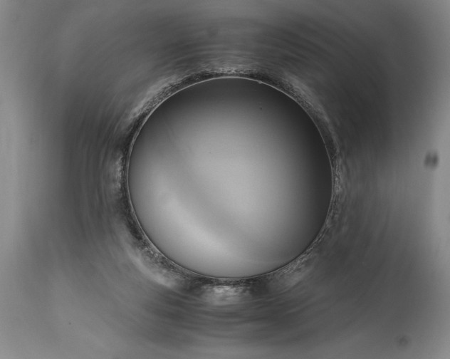 X0000115440163200911181532