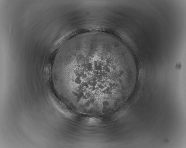 X0000115440165200911181532