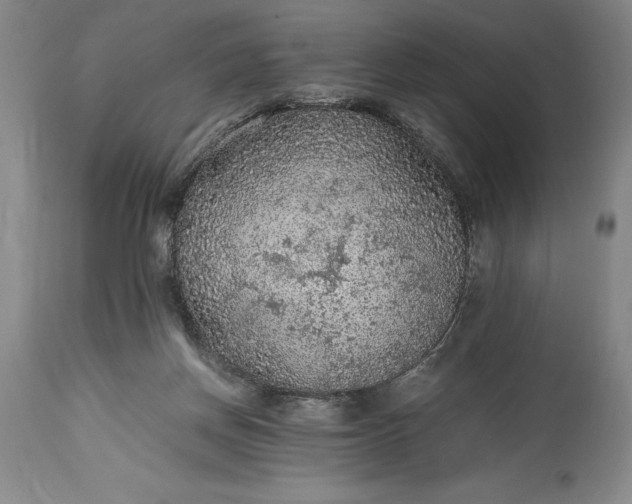 X0000115440166200911181532