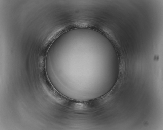 X0000115440167200911181532