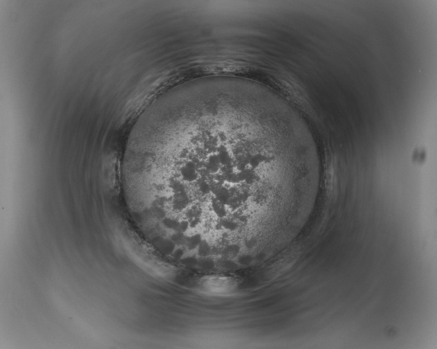 X0000115440169200911181532