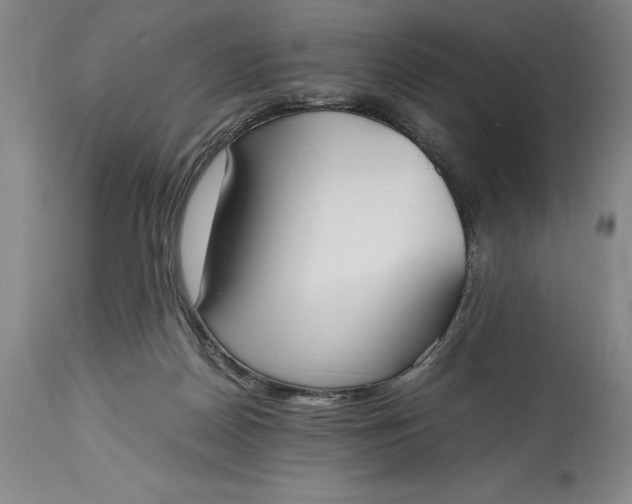 X0000115440170200911181532