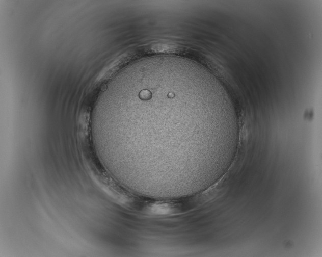 X0000115440171200911181532