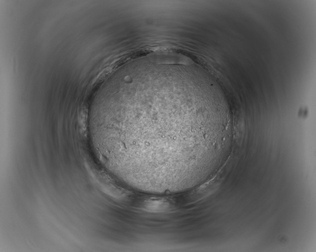 X0000115440175200911181532