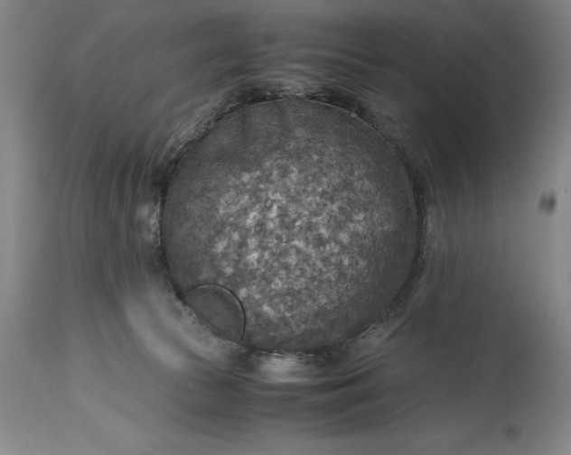 X0000115440177200911181532