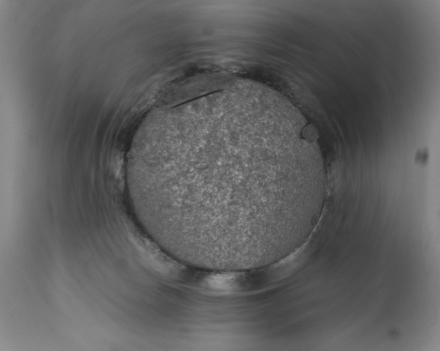 X0000115440178200911181532