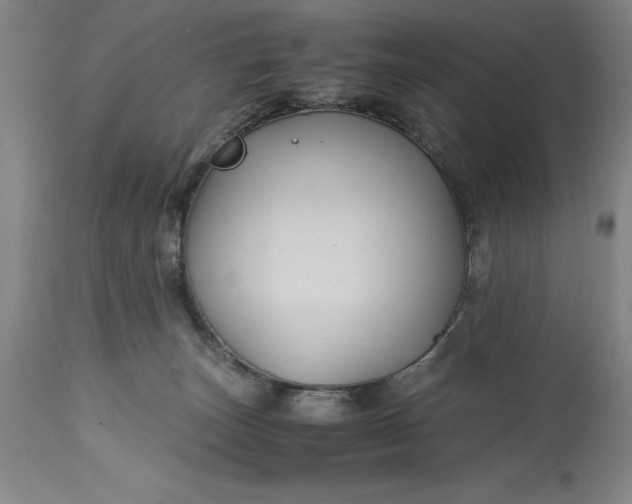 X0000115440179200911181532