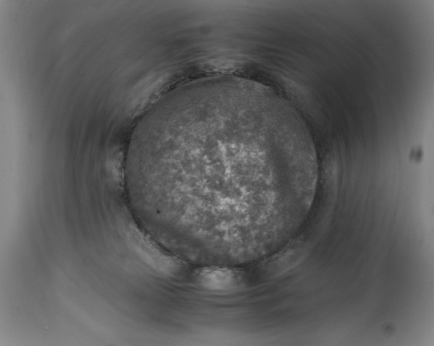 X0000115440181200911181532