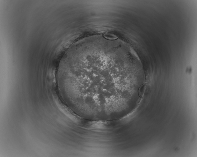 X0000115440182200911181532