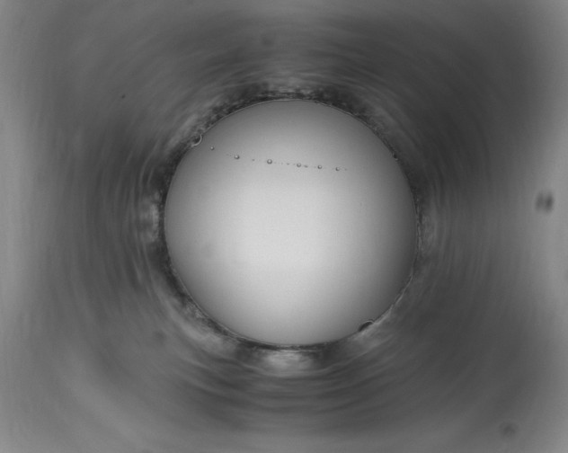 X0000115440183200911181532