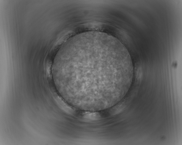 X0000115440185200911181532