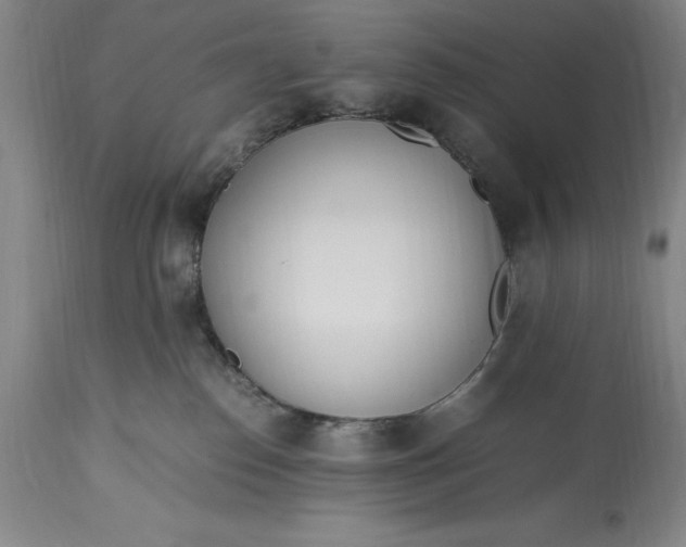 X0000115440186200911181532