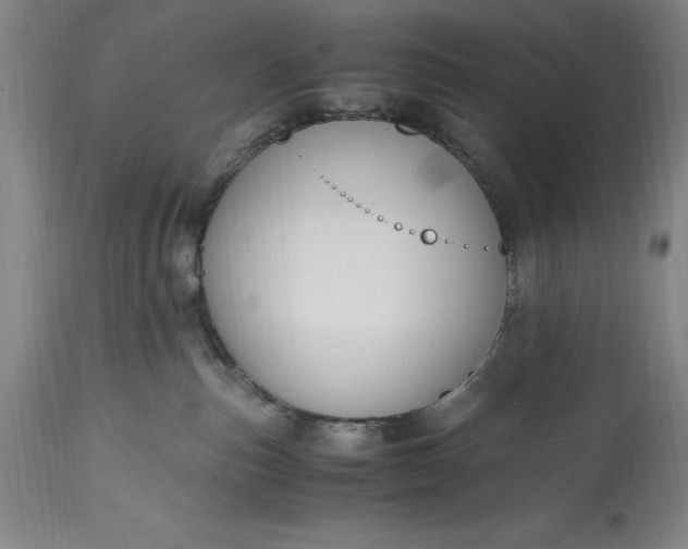 X0000115440187200911181532
