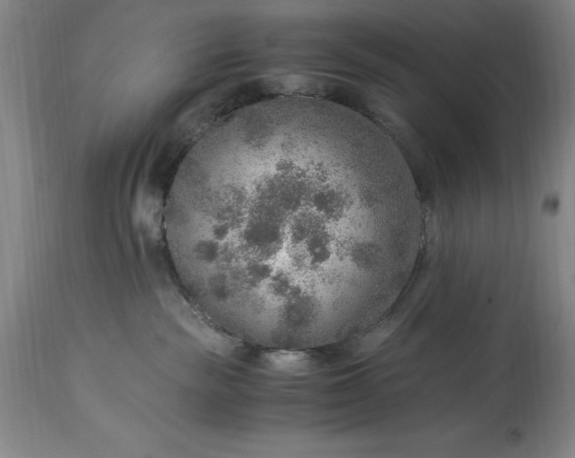 X0000115440189200911181532