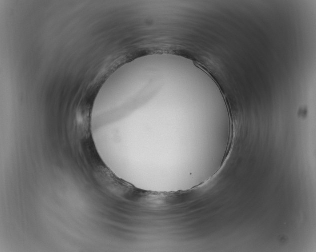 X0000115440190200911181532