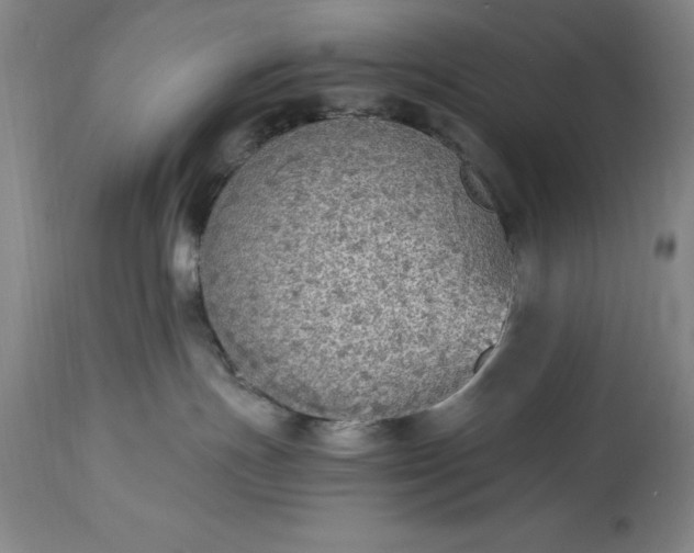 X0000115440191200911181532