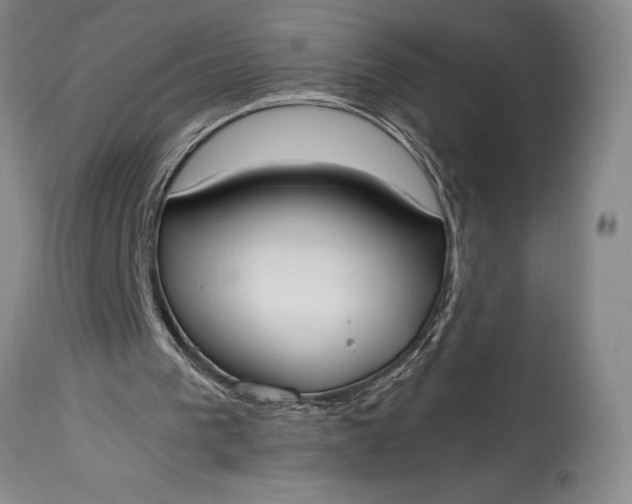 X0000115440193200911181531