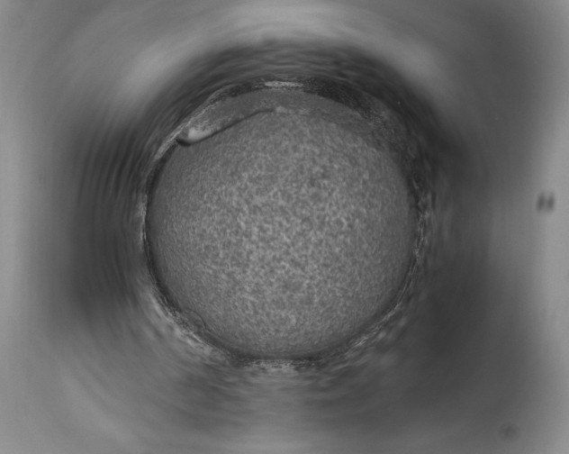 X0000115440194200911181531