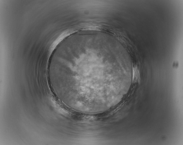 X0000115440195200911181531
