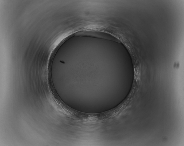 X0000115440196200911181531