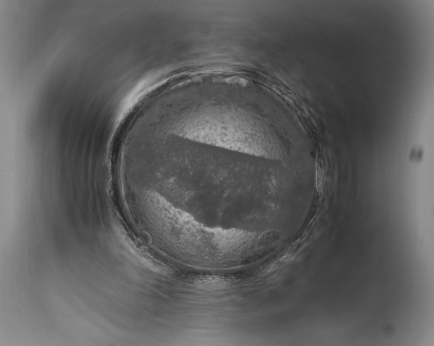 X0000115440198200911181531