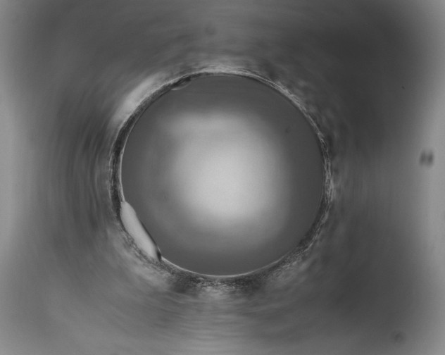 X0000115440199200911181531