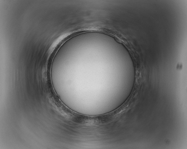 X0000115440200200911181531