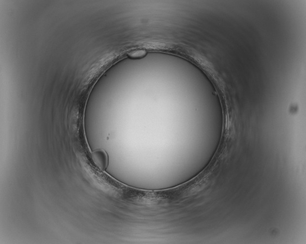 X0000115440201200911181531