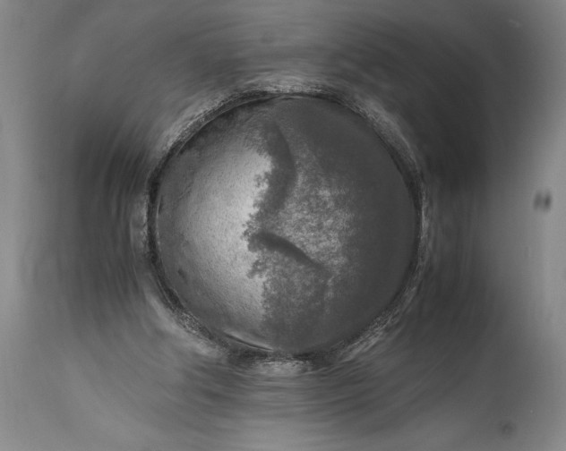 X0000115440202200911181531