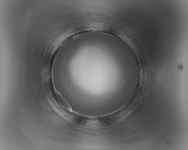 X0000115440203200911181531