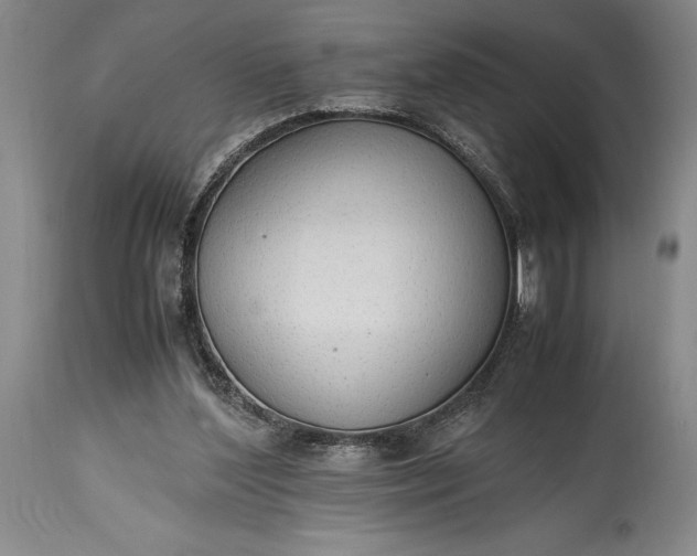 X0000115440204200911181531