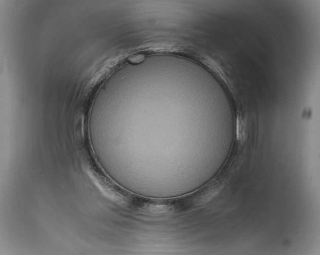 X0000115440205200911181531