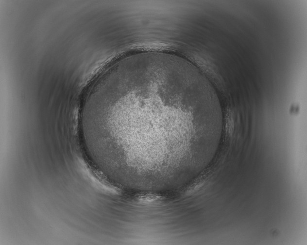 X0000115440206200911181531