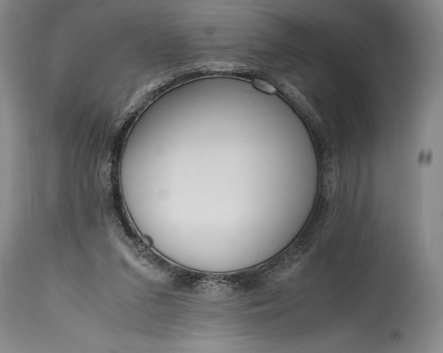 X0000115440207200911181531