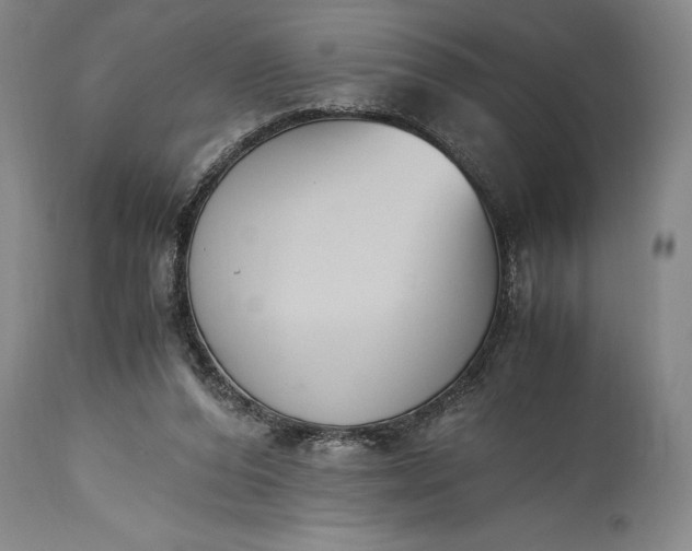 X0000115440208200911181531
