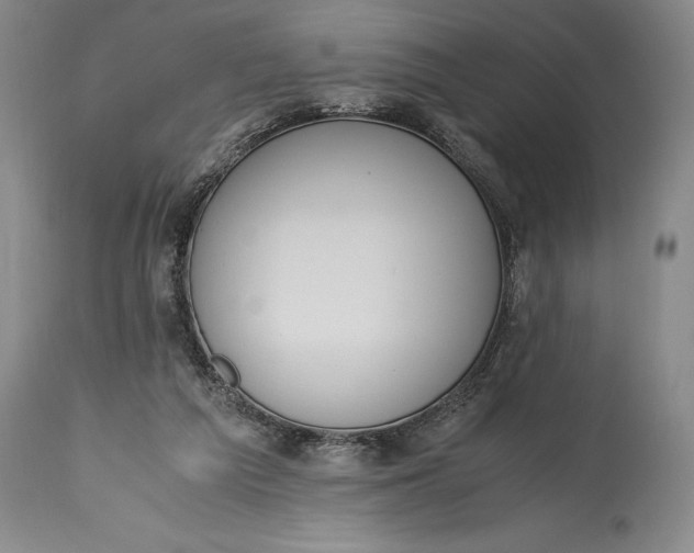 X0000115440209200911181531