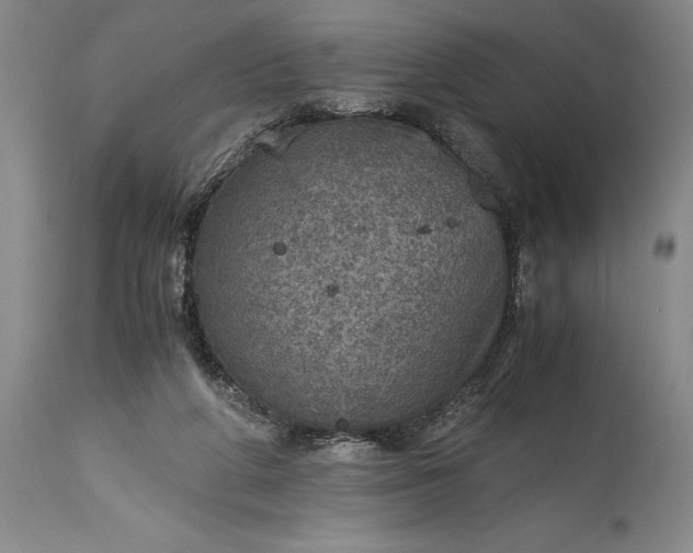 X0000115440210200911181531