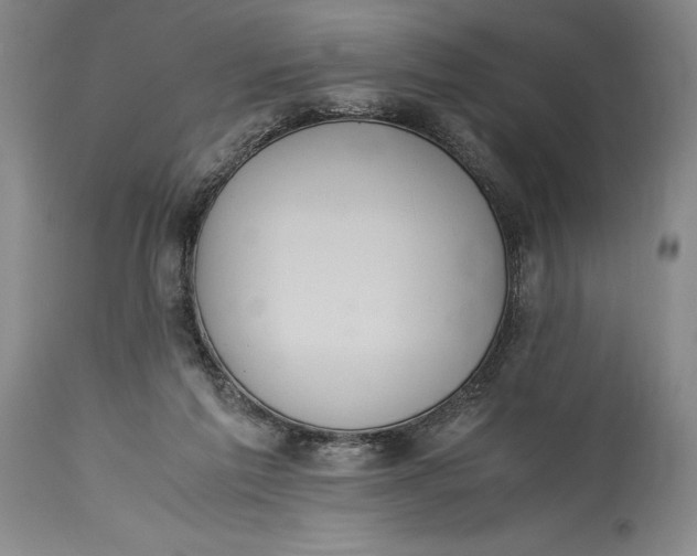X0000115440213200911181531